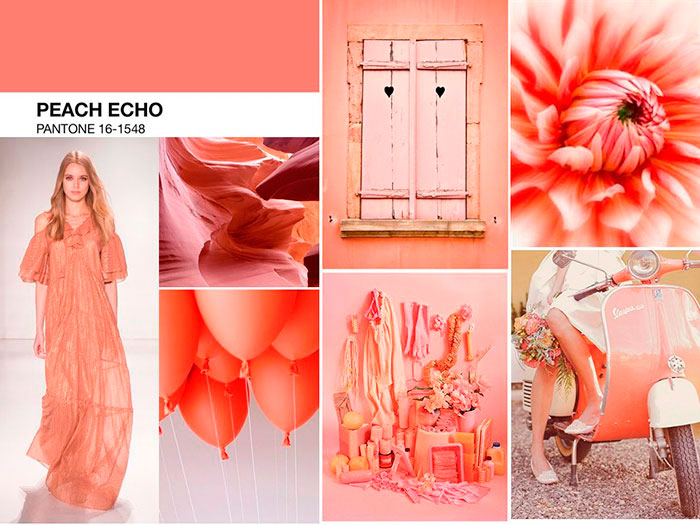 peach echo
