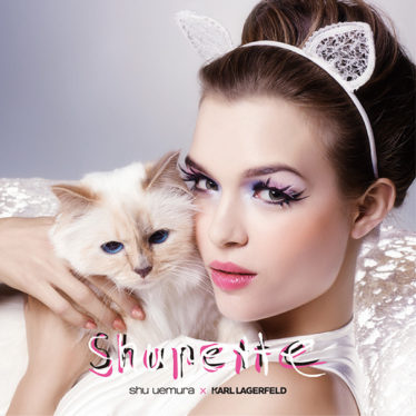 MAQUILLAJE 2014: Belleza Felina